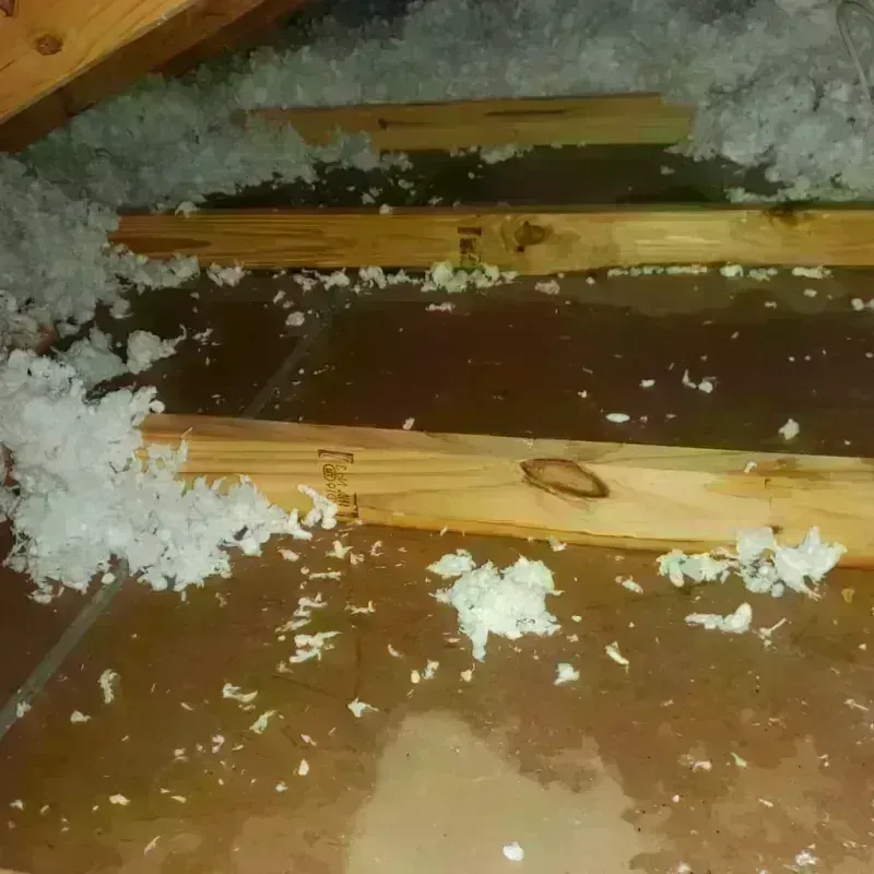 Attic Water Damage in Wayne County, WV