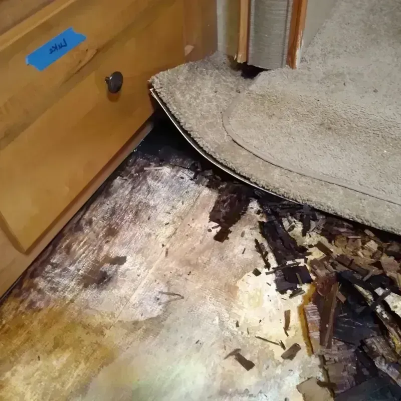 Wood Floor Water Damage in Wayne County, WV